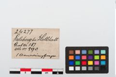 Etiketten zu Bronzeknotenarmreif (NHMW-PRAE-024277)